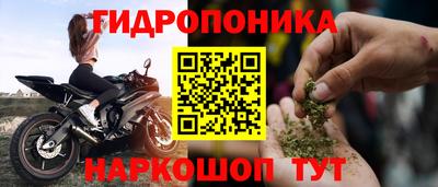 молекула духа Будённовск