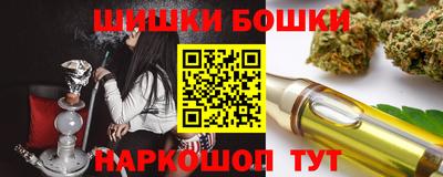 молекула духа Будённовск