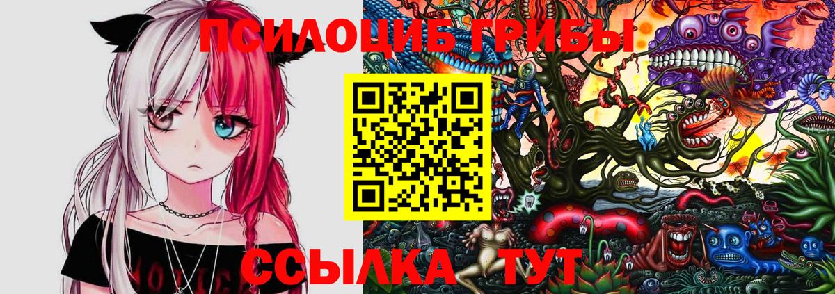 Галлюциногенные грибы прущие грибы  Вход с VPN  Сарапул 